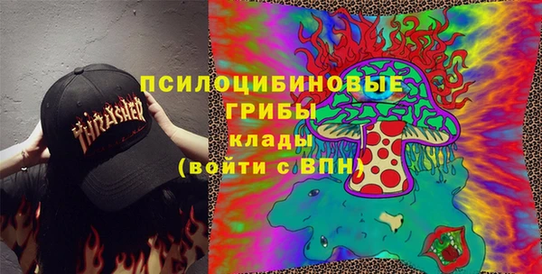 apvp Волоколамск