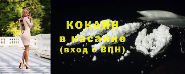 гидра Володарск