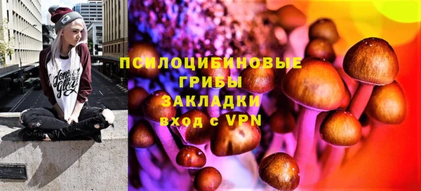 гидра Володарск